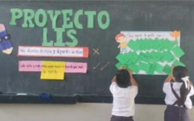 Projecte Lis: programa educatiu de coeducació