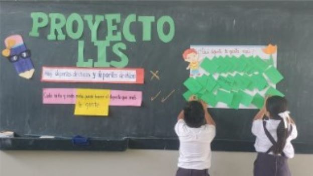Projecte Lis: programa educatiu de coeducació